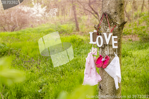 Image of pink baby shoes and dress hanging on the tree