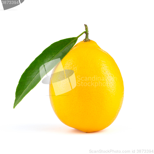 Image of Yellow lemon with leaf isolated 