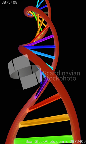 Image of DNA structure model