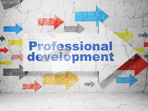 Image of Education concept: arrow with Professional Development on grunge wall background