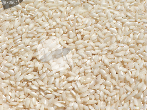 Image of Carnaroli rice food