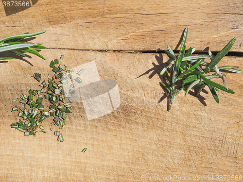 Image of Rosemary plant on cutting board