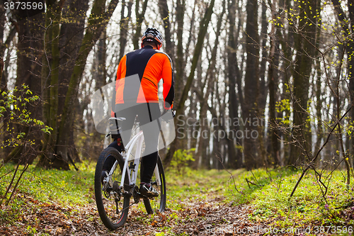 Image of Mountain Bike cyclist riding single track