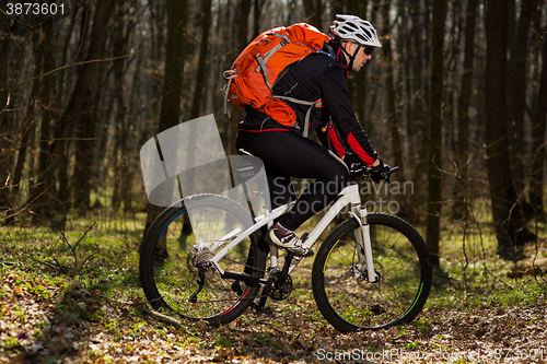 Image of Rider in action at Freestyle Mountain Bike Session