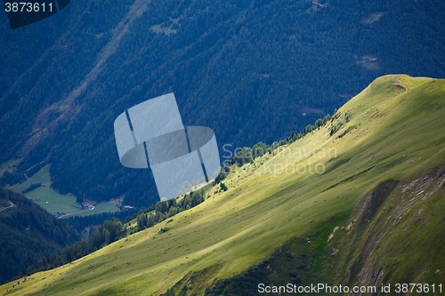 Image of Alpine Summer Landscape