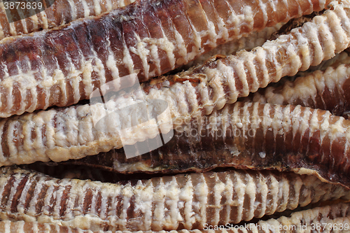 Image of larynx meat for dogs