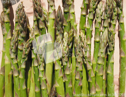 Image of Green Asparagus vegetables