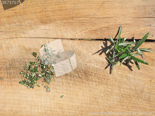 Image of Rosemary plant on cutting board