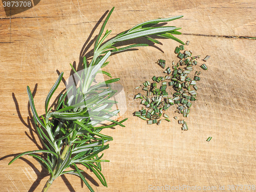 Image of Rosemary plant on cutting board