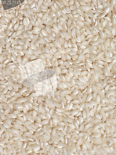 Image of Carnaroli rice food