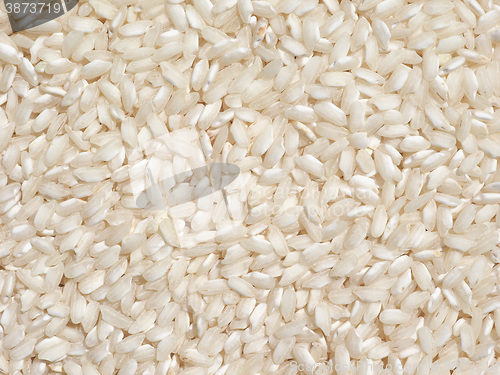 Image of Carnaroli rice food