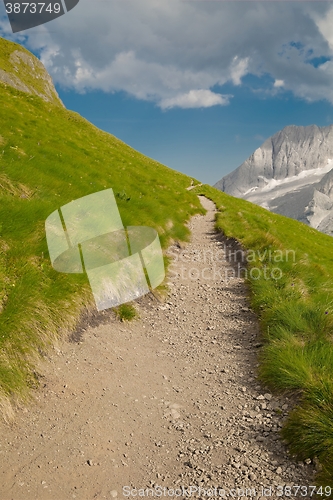 Image of Alpine Summer Landscape