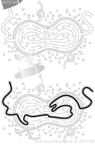 Image of Carneval maze