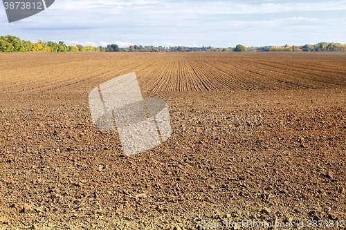 Image of Agriculture