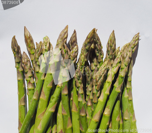 Image of Green Asparagus vegetables