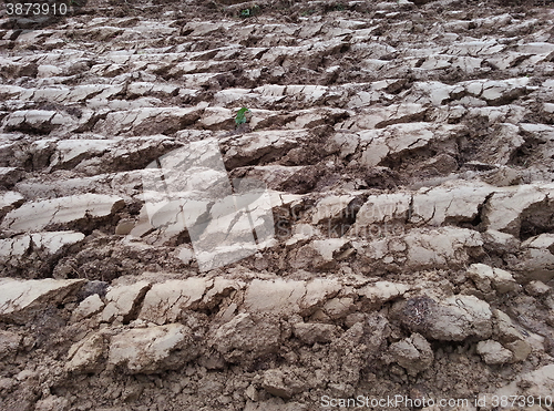 Image of Plowed Land Soil