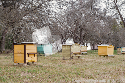 Image of wooden bee hives in a garden