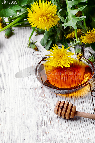 Image of Dandelion honey