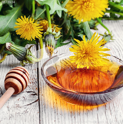 Image of Dandelion honey