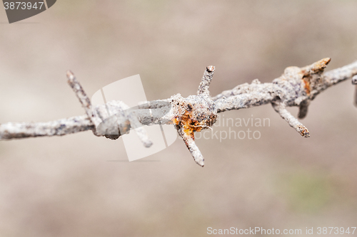 Image of rusty barbed wire