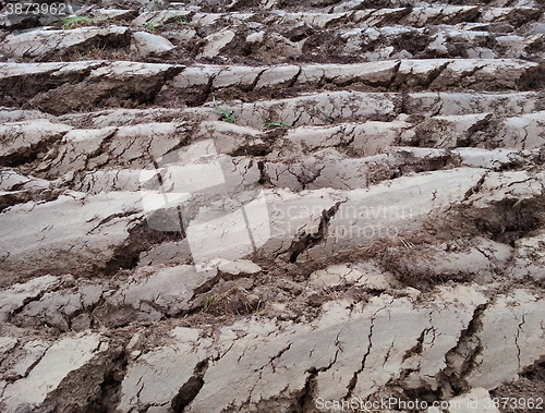 Image of Preparing Land