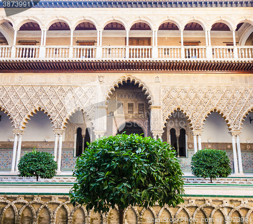 Image of Seville Alcazar Garden