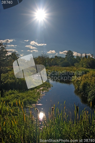 Image of small river in sun