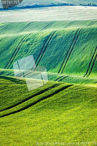 Image of Rolling landscape of  South Moravia