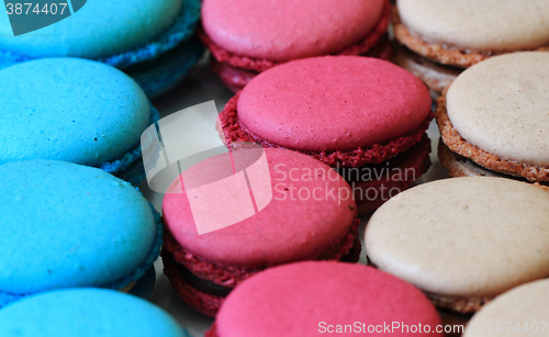 Image of color macaroon background