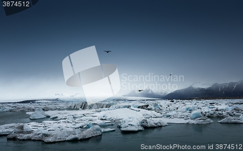 Image of Icebergs at glacier lagoon 