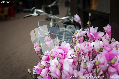 Image of Bicycle and flowers