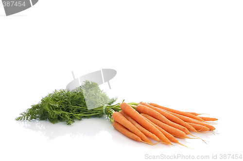 Image of Fresh Vegetable
