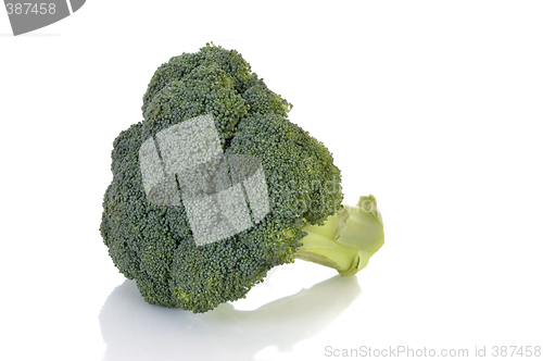 Image of Fresh Vegetable