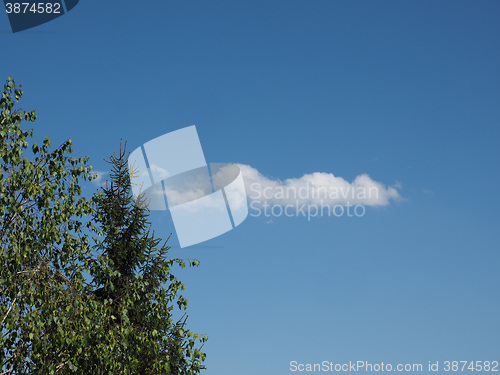 Image of Tree and blue sky with clouds background