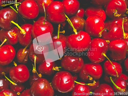 Image of Cherry