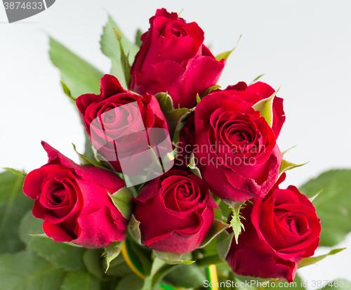 Image of Bouquet of fresh red roses