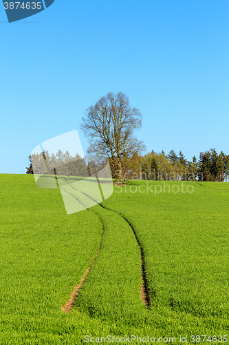 Image of summer rural sping landscape