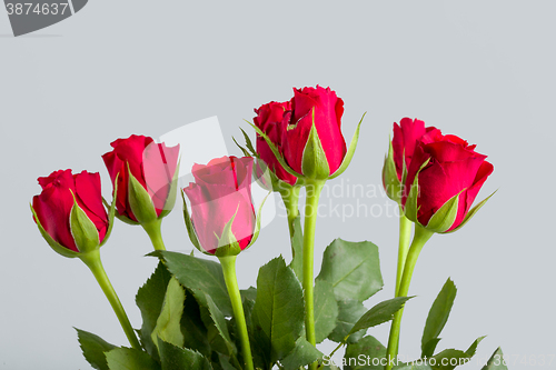 Image of Bouquet of fresh red roses
