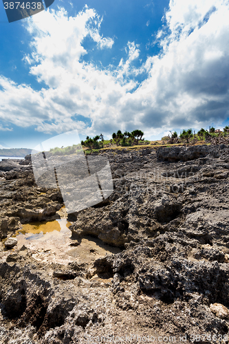 Image of coastline at Nusa Penida island 