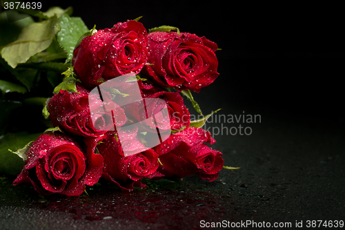 Image of fresh red roses