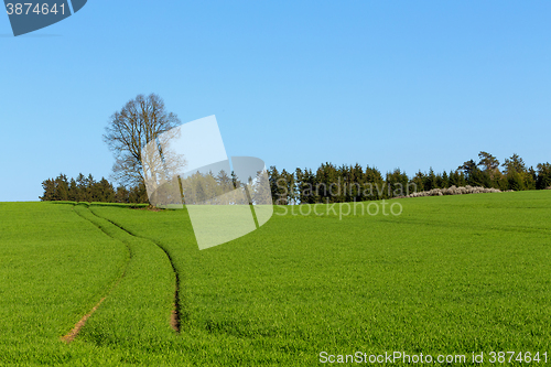 Image of summer rural sping landscape