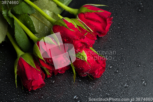 Image of fresh red roses