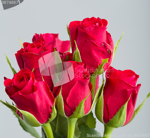 Image of Bouquet of fresh red roses