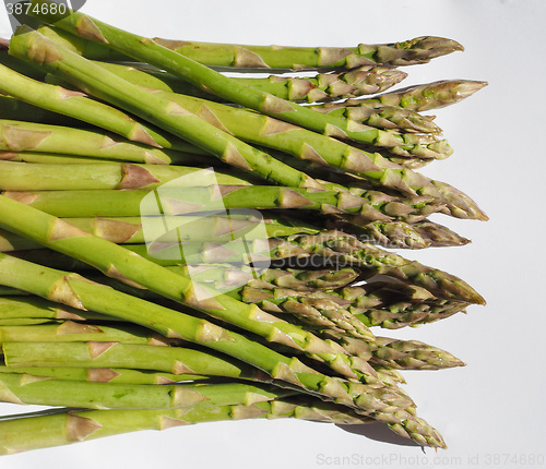 Image of Green Asparagus vegetables
