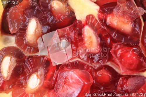 Image of pomegranate background