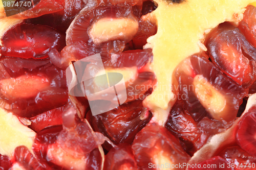 Image of pomegranate background