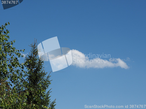 Image of Tree and blue sky with clouds background