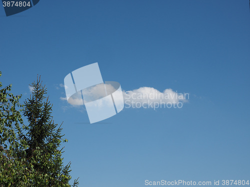 Image of Tree and blue sky with clouds background