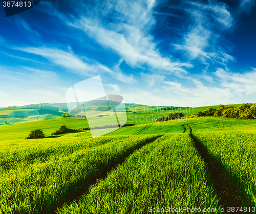 Image of Green fields of Moravia