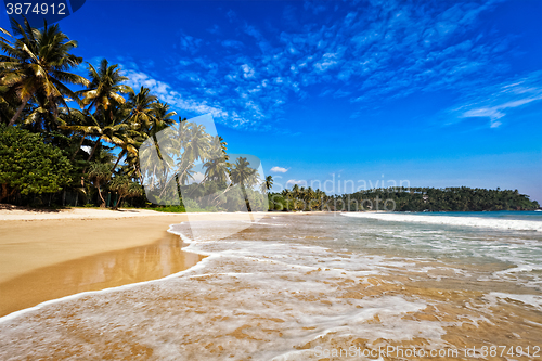 Image of Idyllic beach. Sri Lanka